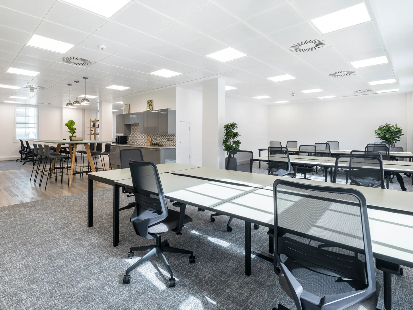 Workstations and kitchen area